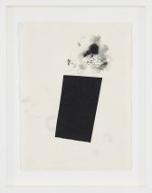 image 15_amy_torgeson-study_number_4_2019_monotype_with_screenprint_on_okawara_paper_1_of_1_22in_x_17-75in_framed-jpg