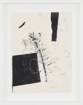 image 18_amy_torgeson-study_number_1_2019_monotype_with_screenprint_on_okawara_paper_1_of_1_22in_x_17-75in_framed-jpg