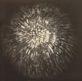 image 02_ross_bleckner-on_shadow_2010_22in_x_22-5in_paper_size_color_aquatint_etching_edition_of_40-jpg