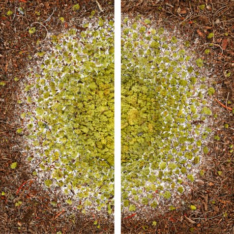 image 01_stephen_galloway-nebular_2011_76-25in_x_76-25in_chromogenic_print_face-mounted_to_plexiglass-jpg